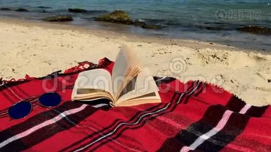 打开书躺在阳光明媚的沙滩上的格子呢上..视频