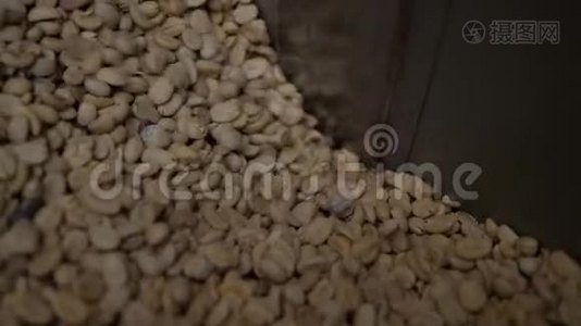 咖啡豆的分类和分级视频