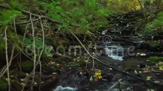 沿山河流的青湿苔藓石质视频