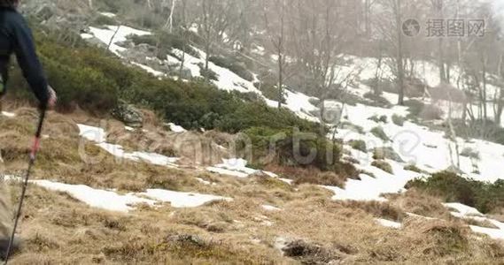 徒步旅行者背着背包走在雪地小径上。 在前面。 真正的背包客，成人徒步旅行或徒步旅行视频