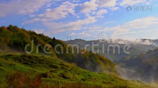 在一个自然保护区的山坡上有薄雾的山毛榉林。视频