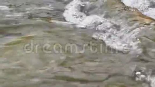 水流在汹涌的溪流中.视频