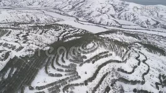 不错的冬天在山上。 中枪。 森林中雪山景观的俯视图视频