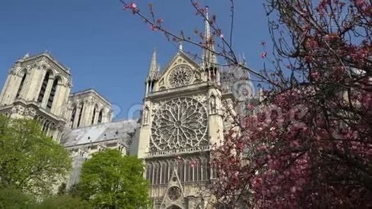 巴黎圣母院，四周环绕着开花的树木视频