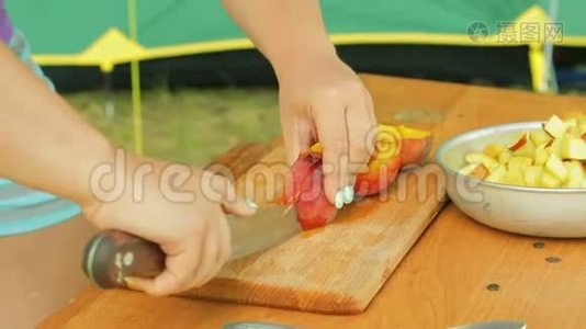 年轻女子在野餐时用刀切桃色拉.视频