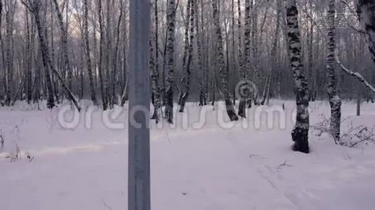 冬季景观滑雪。 在冬天的树林里散步。 冰雪世界。 越野滑雪的赛道.. 下雪的森林。 这就是视频