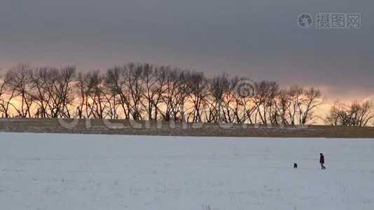 美丽的日落在一个雪域视频