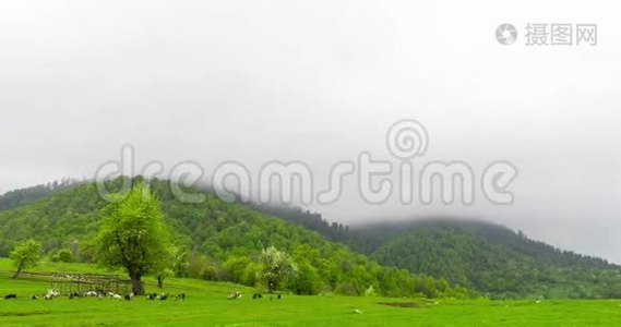 云彩升起的时间流逝，五彩缤纷的秋景视频