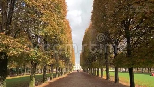 在卢森堡花园里，树木两旁长廊的秋天景象。 法国巴黎视频