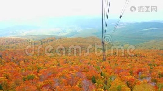 秋季客家山森林的自然色彩视频