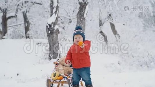 带雪橇的小男孩视频