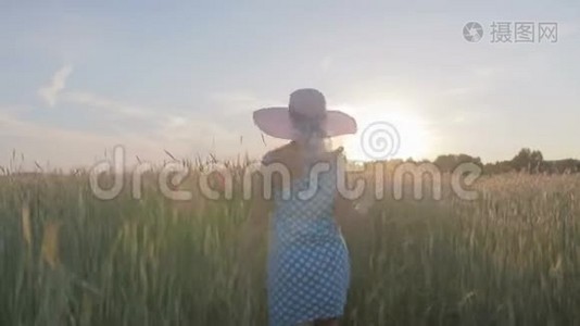 一个穿着浅色连衣裙和帽子的快乐女人的肖像。 日落时分，女孩带着谷类植物走在田野上视频