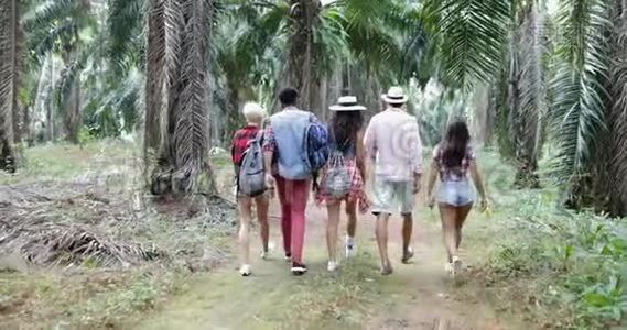 在森林小径上背包旅行的人群，在热带棕榈树上徒步旅行的青年男子和妇女视频