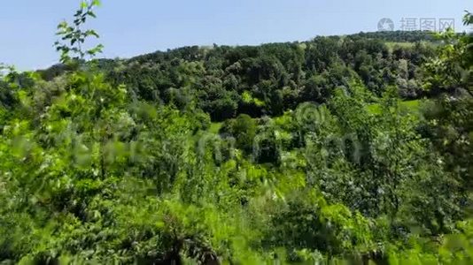 空中无人驾驶飞机飞过东欧山区森林。 夏天绿树成荫，蓝天成荫.视频