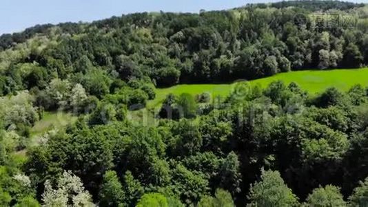 空中无人驾驶飞机飞过东欧山区森林。 夏天绿树成荫，蓝天成荫.视频