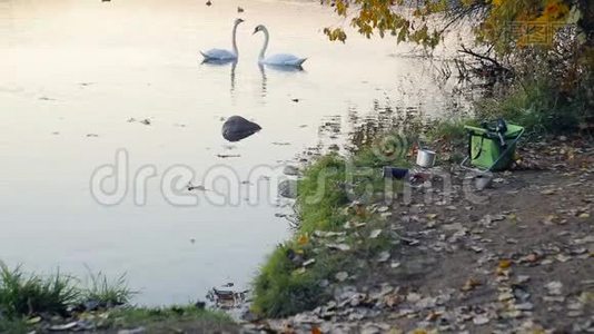 在湖边做饭视频