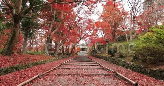 秋日在京都雅马西纳区的Bishamondou的红叶视频