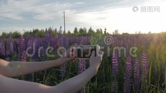 女孩从手机里拍了一张花的照片。 卢平视频