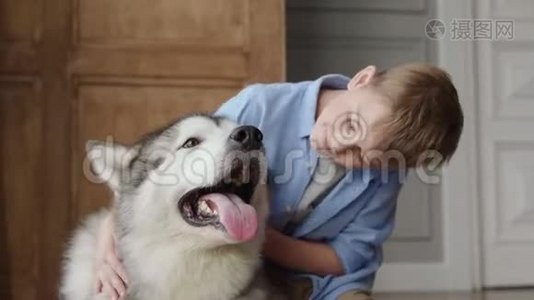 可爱的家犬和可爱的孩子或爱宠物动物的友谊视频