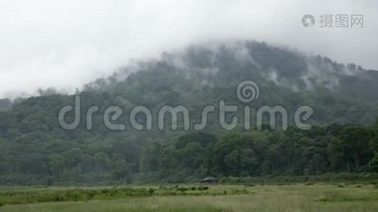 在印度尼西亚巴厘岛，森林上空的雾-云层迅速地从森林上空飞过视频