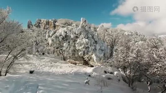 美丽的雪景。 冬天的树木全景。 中枪。 冬季景观，高刺和雪山视频