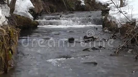 初春雨后溪中流水..视频