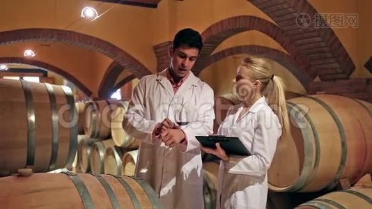葡萄酒专家实验室检查葡萄酒发酵情况视频
