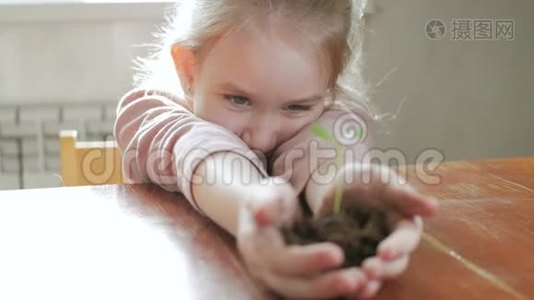 女孩手里拿着年轻的绿色植物。 生长，呵护，保护地球，生态的理念和标志..视频