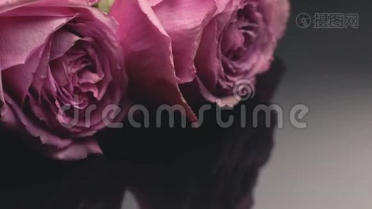 玫瑰的粉红色在一个黑暗的背景上散发着清新的香水气味，花束礼物，惊喜玫瑰花的爱情心情。视频