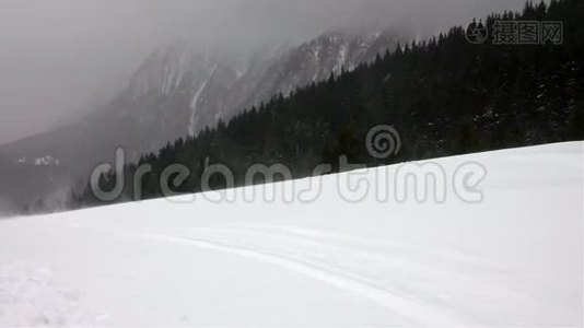 暴风雪中的冬季景观树视频