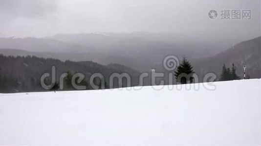 暴风雪中的冬季景观树视频