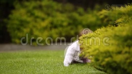 一个快乐的女婴正坐在城市公园灌木丛附近的绿草上。视频