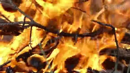 令人印象深刻的火焰，用于夏季的沙士利克制剂。视频