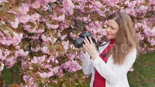 美丽的女孩游客拍照樱花树春粉花视频