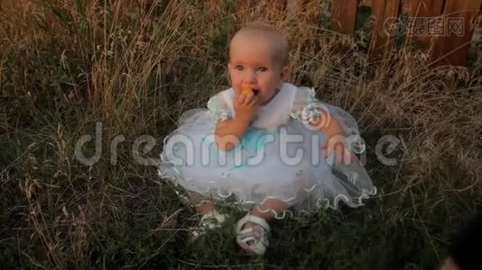 一个小女孩坐在高高的草地上，穿着白色的裙子，吃着杏子。 一个小男孩坐在她身边，带了她视频