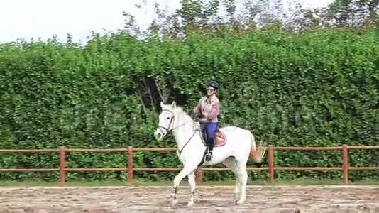 骑着白马的女人骑马。视频