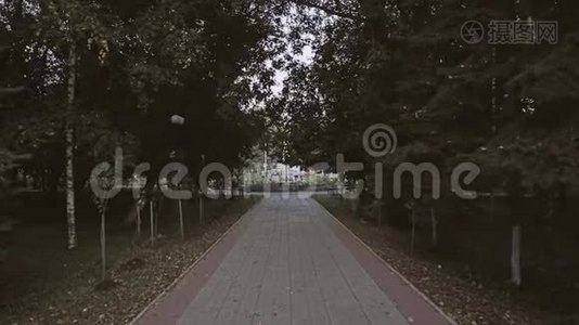 摄像机穿过城市公园的运动视频