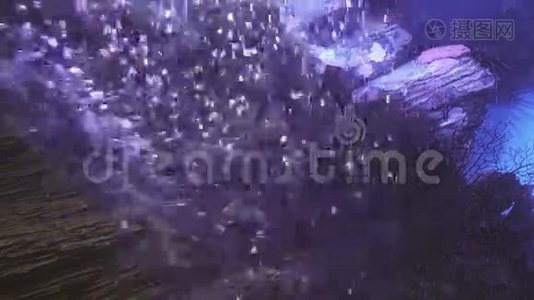 海洋水族馆鱼群水下气泡背景视频视频