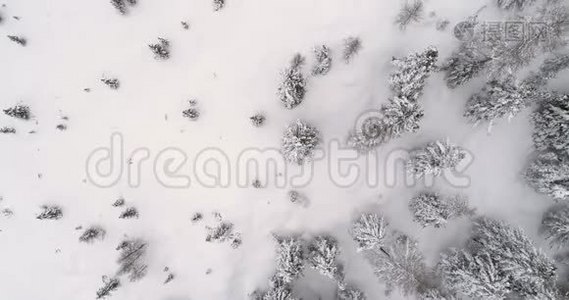 正面架空垂直空中以上树林雪林.. 多云坏阴多雾天气.. 意大利冬季白云石视频