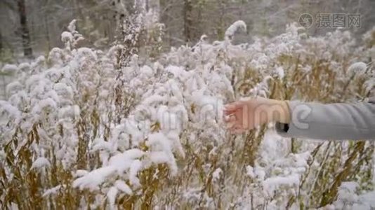 一个冬天的公园里，一个美丽的年轻女子的双手被雪覆盖在树枝上。 慢动作。 时尚时尚视频