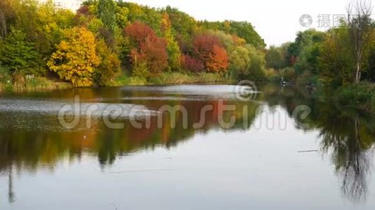 湖和秋树后面.视频