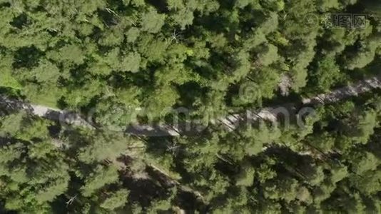 黑色jdm汽车在绿色森林无人驾驶飞机视野之间的乡村公路上行驶视频