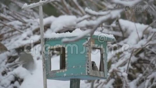 鸟儿飞到喂食器上，取粮食，飞起来，图式，雪花落在鸟舍上。 喂鸟视频