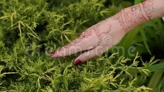 女孩`的手与印度迈亨迪的图纸，特写视频