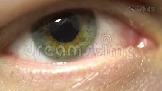 绿眼极致特写虹膜和瞳孔扩张收缩.. 非常细致的宏观闪烁视频