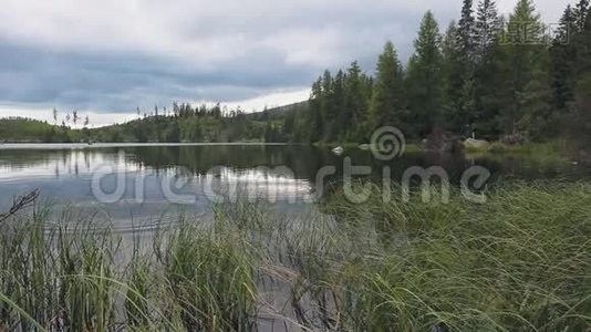 平静的山湖，清澈的水和森林视频