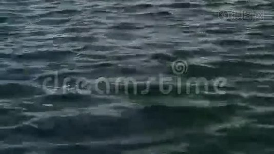 海水用作背景视频