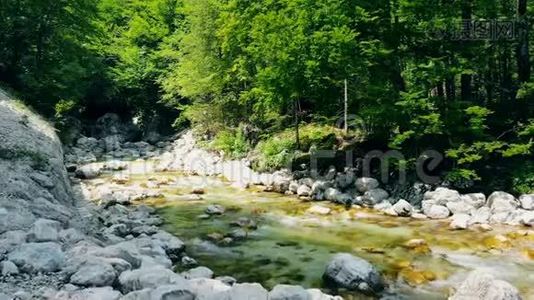 森林景观有奔流、山河和岩石。视频