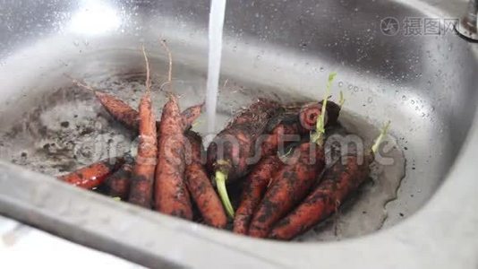 洗洗水槽里的胡萝卜。视频