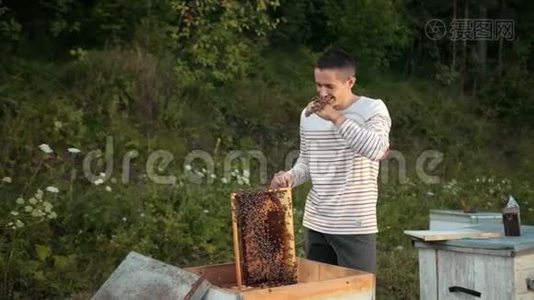 养蜂人站在蜂巢附近，手里拿着一个蜂巢视频